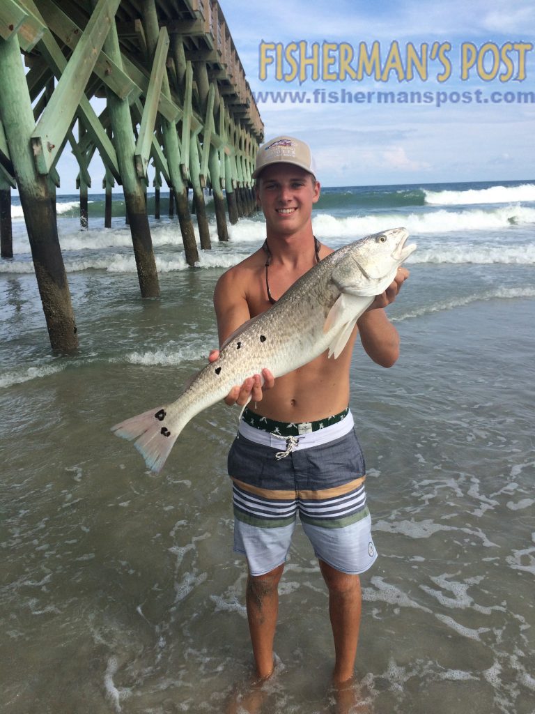 Ellis Moser with a 29" red drum he caught and released in the Wrightsville Beach surf after it struck a cut bait.