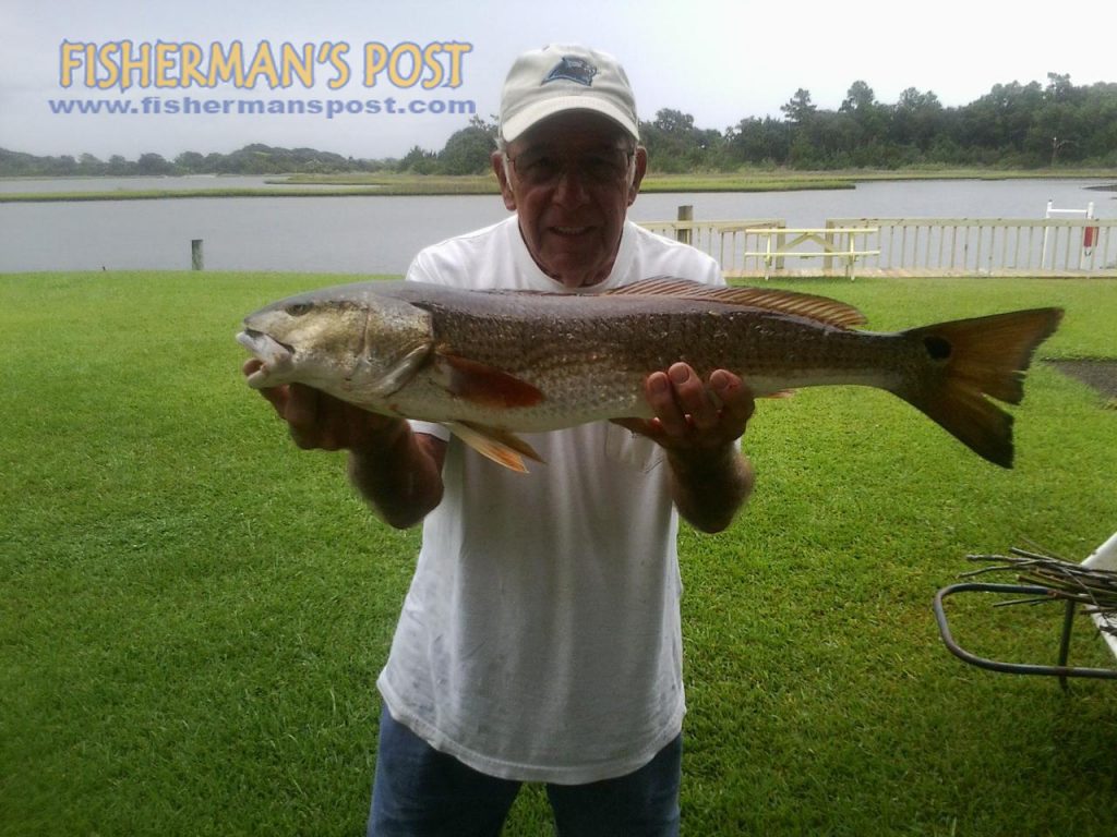 Charles Brown with a red drum he hooked on a live mullet while fishing inshore of Topsail with Randy Jones.