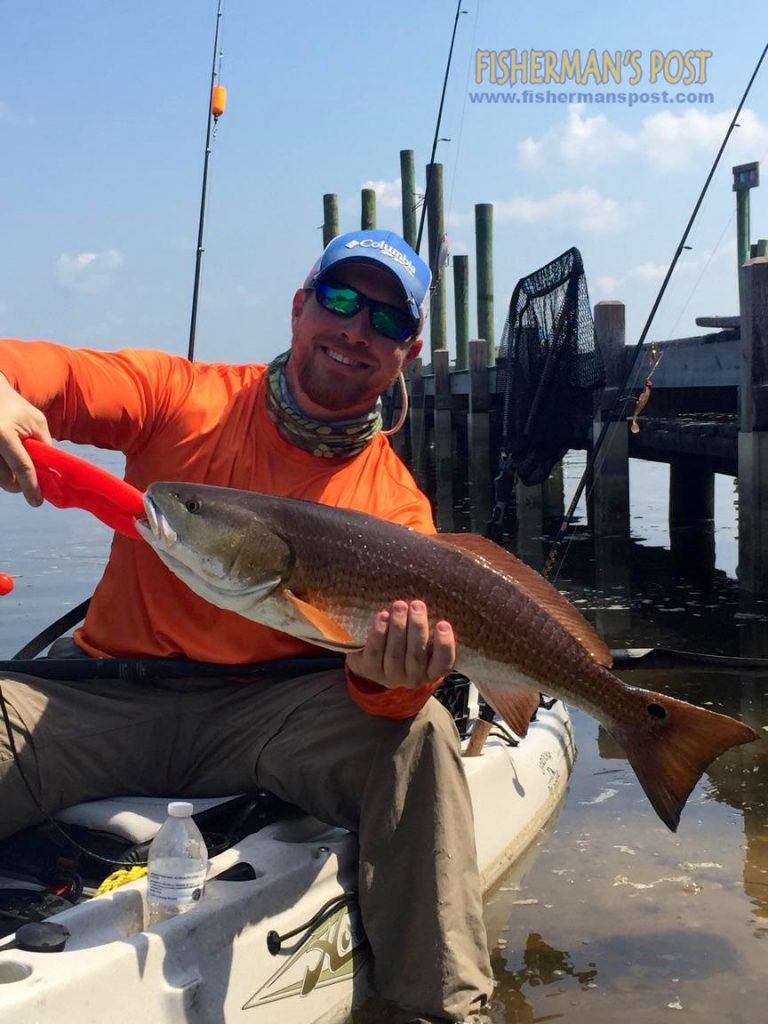 Chuck Lewis, of Lincolntown, NC, with a 26.5" red drum that bit a gold spinnerbait while he was kayak fishing the Lockwood Folly River near Varnamtown.