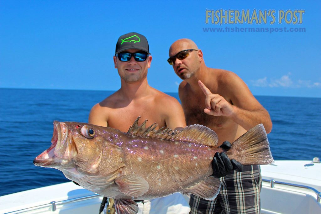 Corey payne and Bryan Freeman with a snowy grouper that attacked a piece of squid while they were deep-dropping in 800' of water off Ocean Isle Beach on the "Reel McCoy."