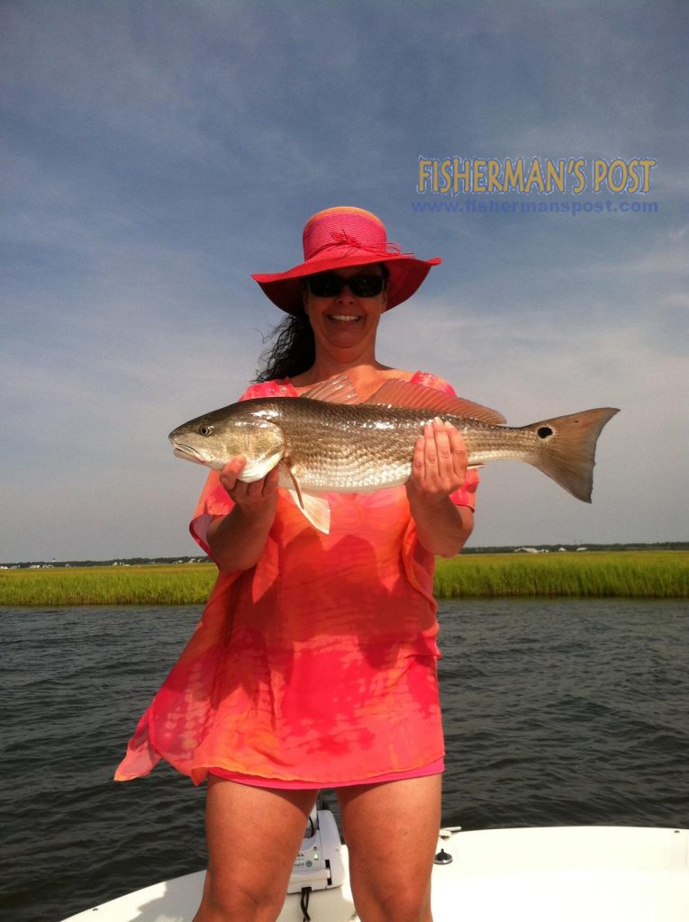 Dallas Vestal with a 24" red drum that attacked a live finger mullet along a grass bank in the Cape Fear River near Fort Fisher.