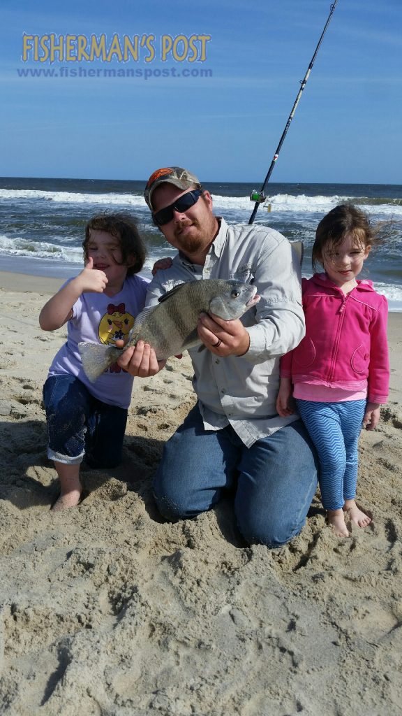 Danica Bates (age 5) with her first plack drum, a 19" fish she hooked while surf fishing at Kure Beach with family.