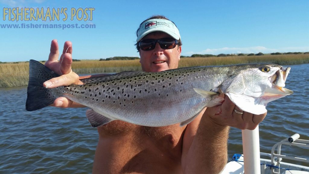 Steve Wright, of Wilmington, with a 5.03 lb. speckled trout that bit a live mullet in a creek behind Masonboro Island.