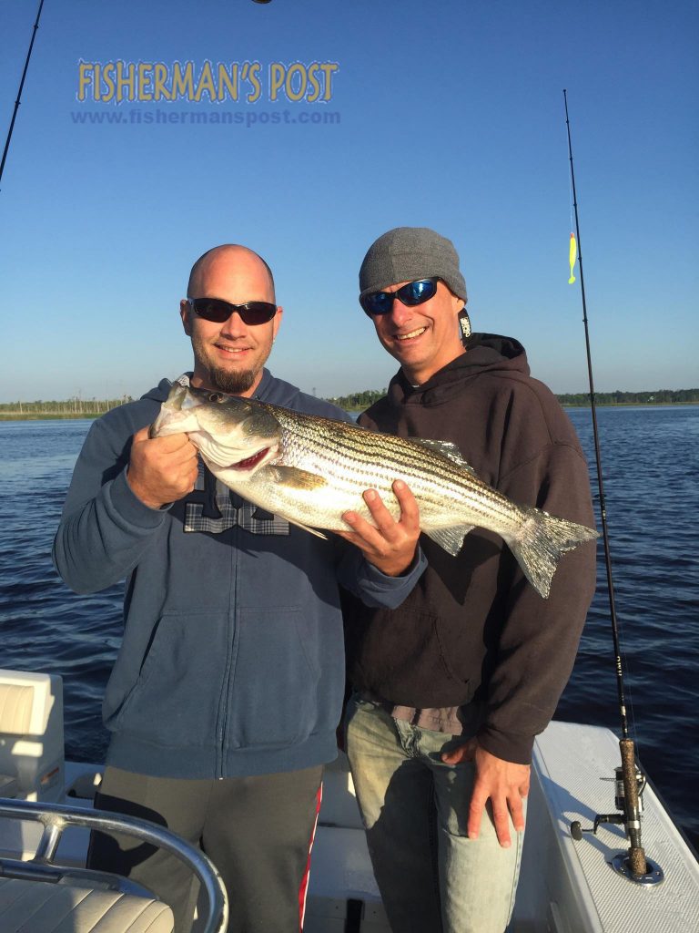 Jeremy Hooker, of Wilmington, and Capt. Jim Sabella, of Plan 9 Charters, with a striped bass that inhaled a white curlytail grub in the Cape Fear River near downtown Wilmington.