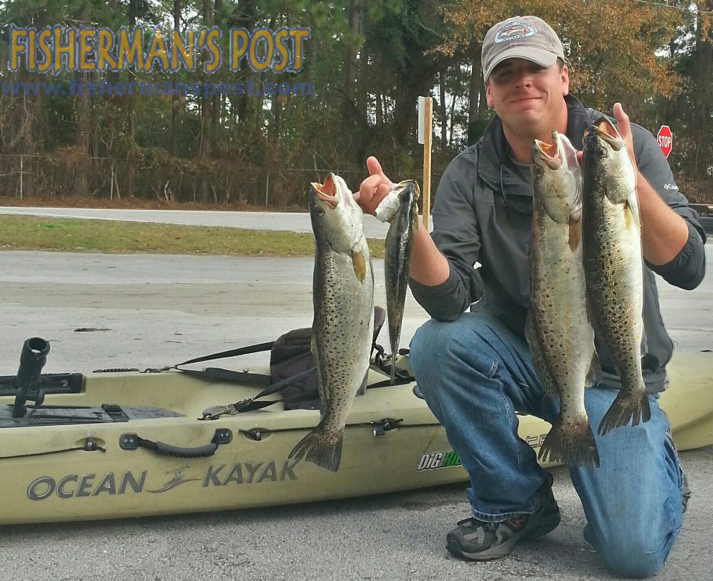 Chris White, of Newport, NC, with a limit of speckled trout that bit an electric chicken Mr17 MirrOlure while he was kayak fishing a creek near New Bern.