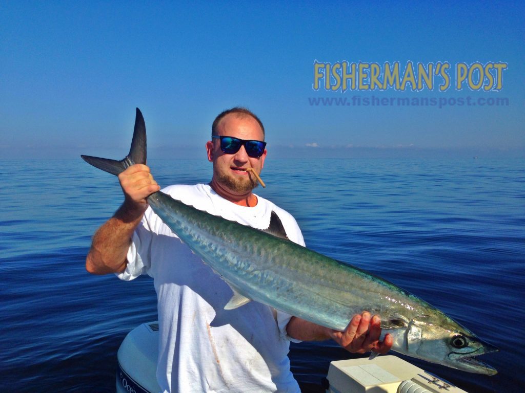 Envoy Nance, of Mint Hill, with a king mackerel that bit a live menhaden while he was fishing at Lighthouse Rock on the "COFFEYTIME."