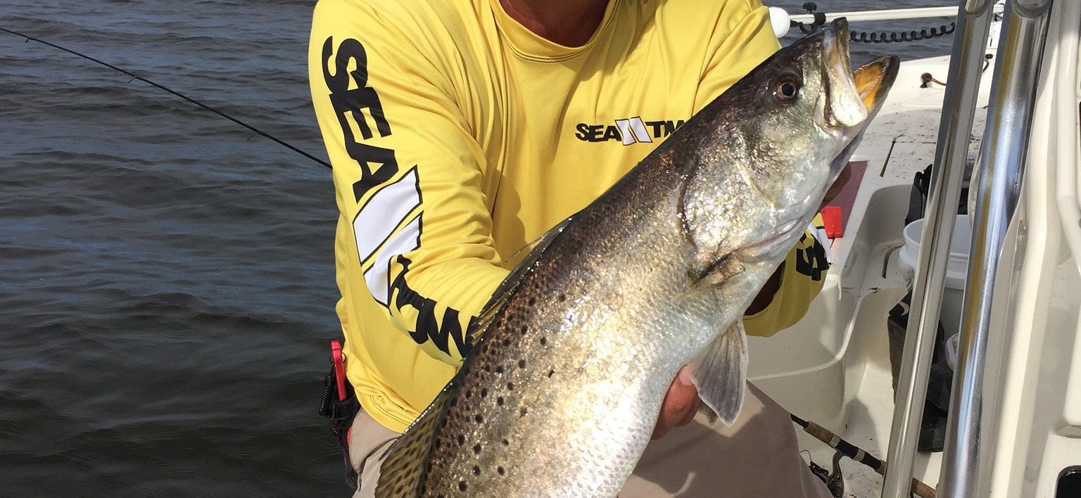 PAM_BYRD_TROUT