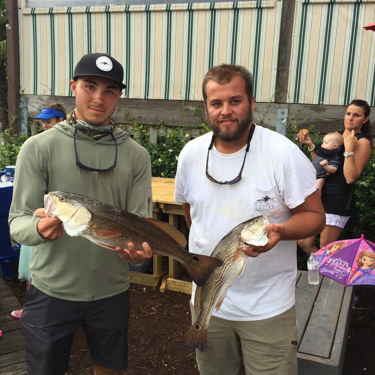 13528243_1343562895672719_4574651473843029132_o_1343562895672719