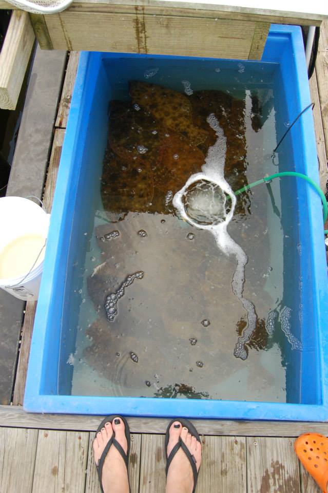 10659192_917777658251247_652167142811989312_n_917777658251247