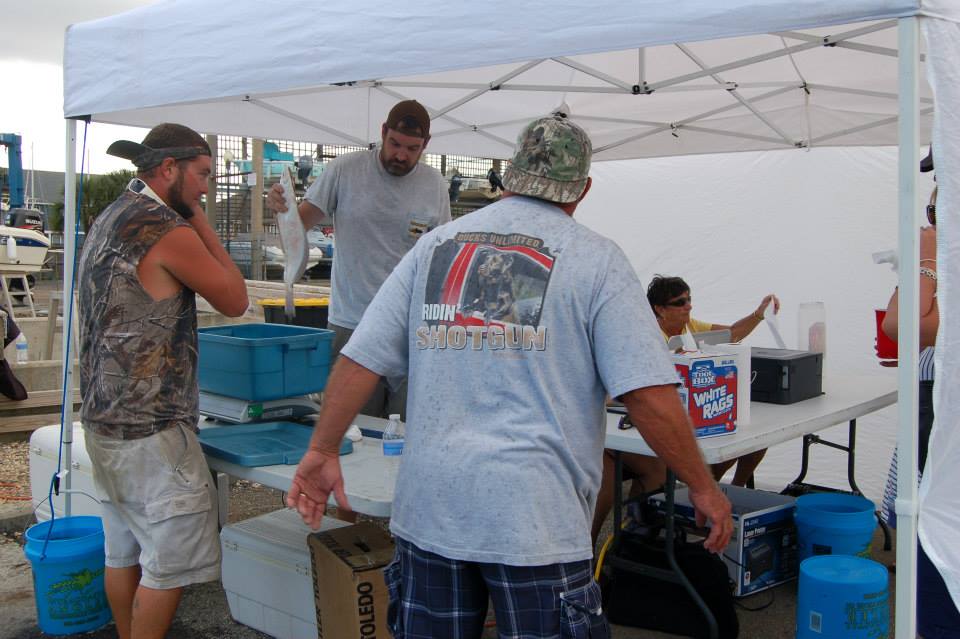 10410185_917775824918097_8936835695989733845_n_917775824918097