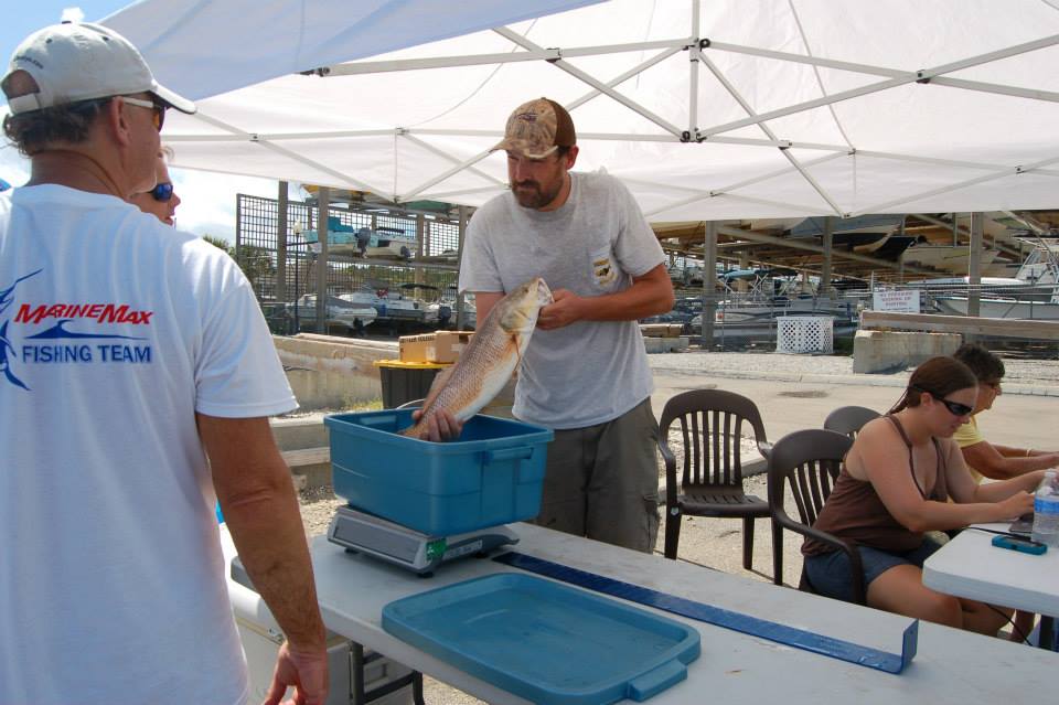 1919658_917775568251456_8900685117446454273_n_917775568251456