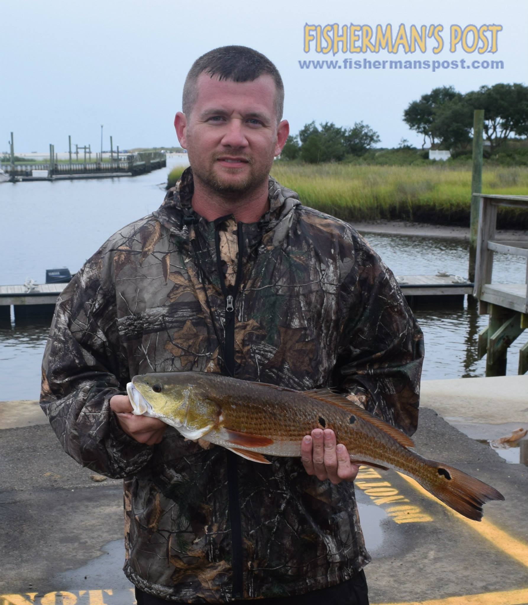 12038905_1160097717352572_4730759615414724348_o_1160097717352572