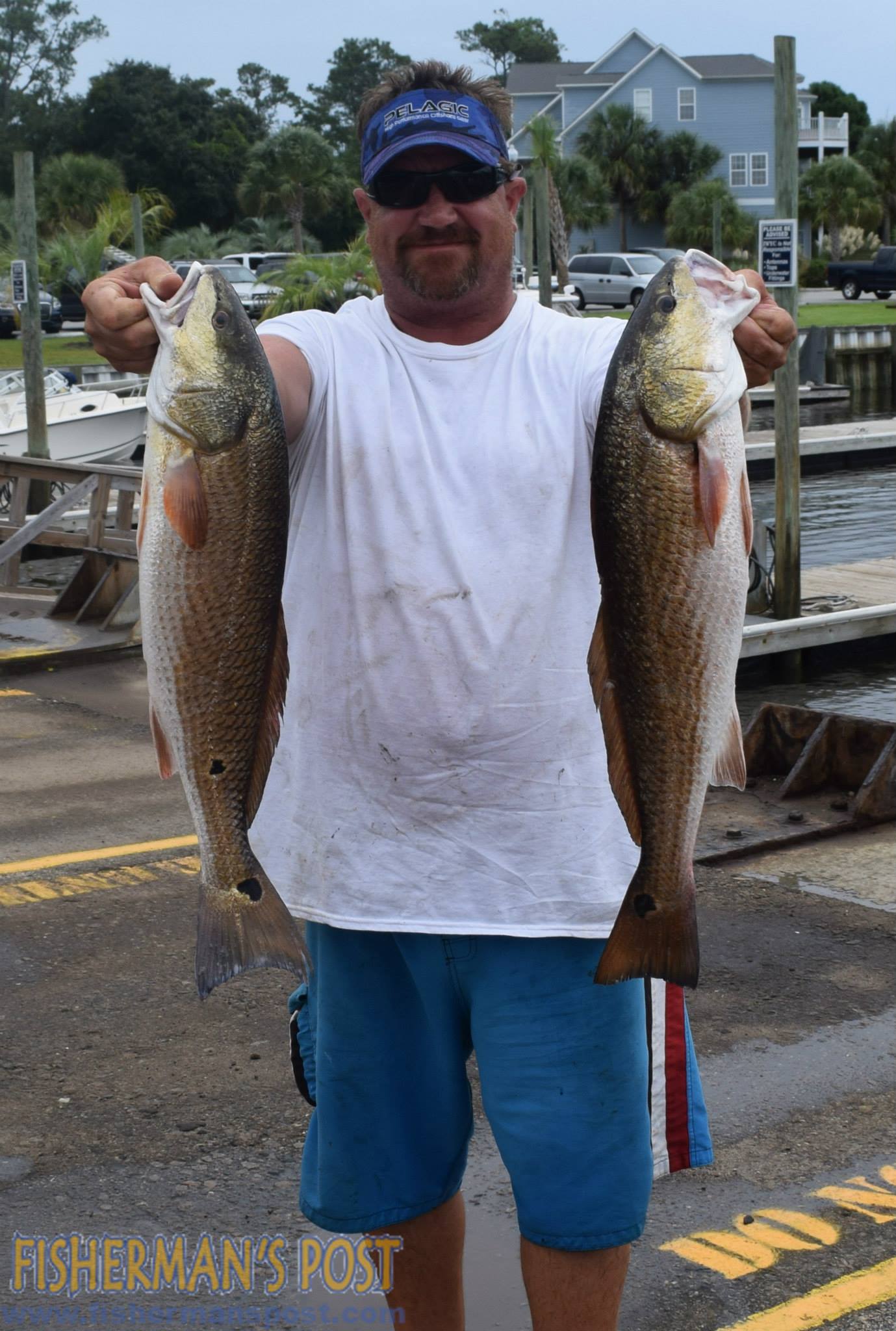 12030517_1160099060685771_3145264348031512586_o_1160099060685771