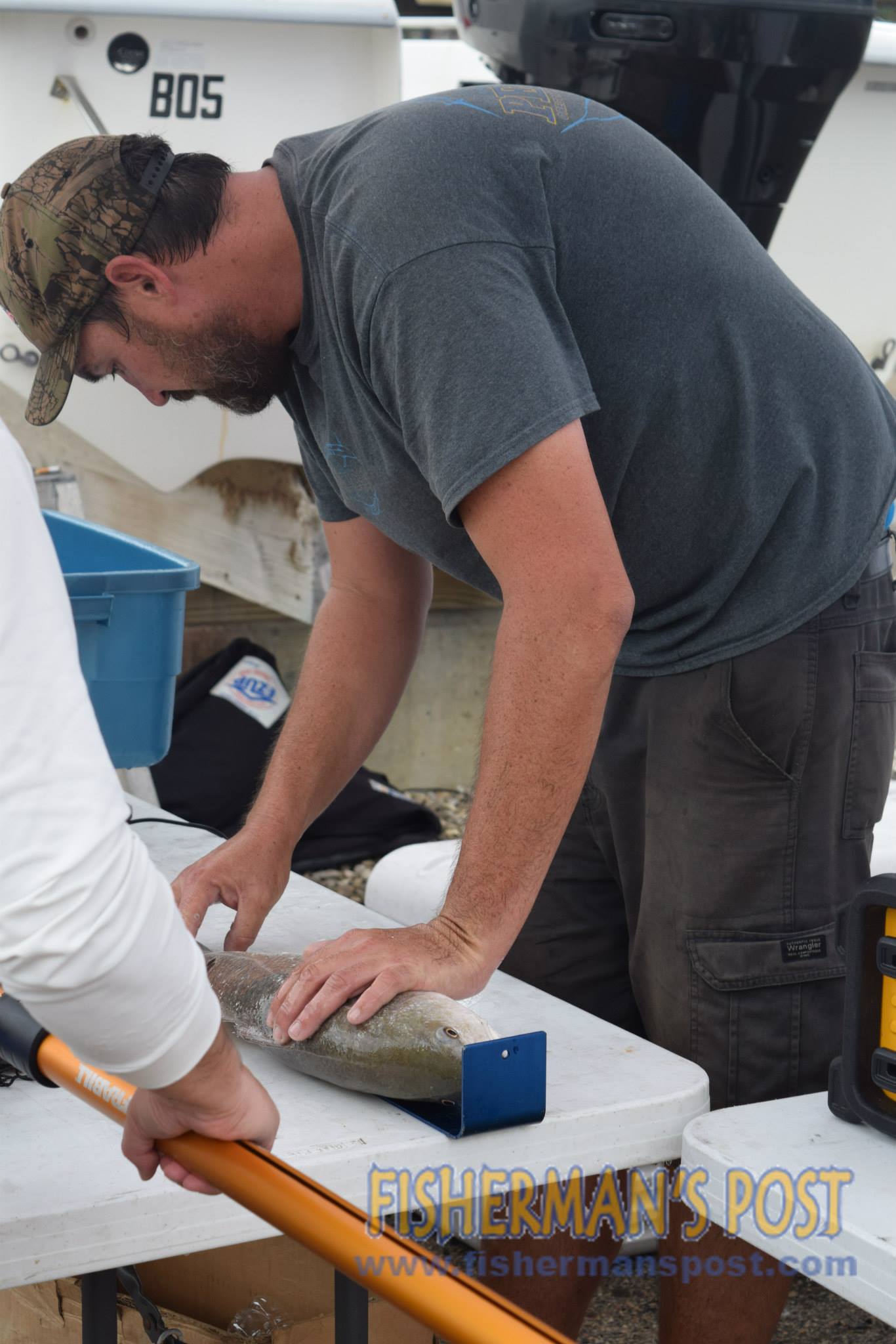 12022502_1160099944019016_8726517841448123110_o_1160099944019016