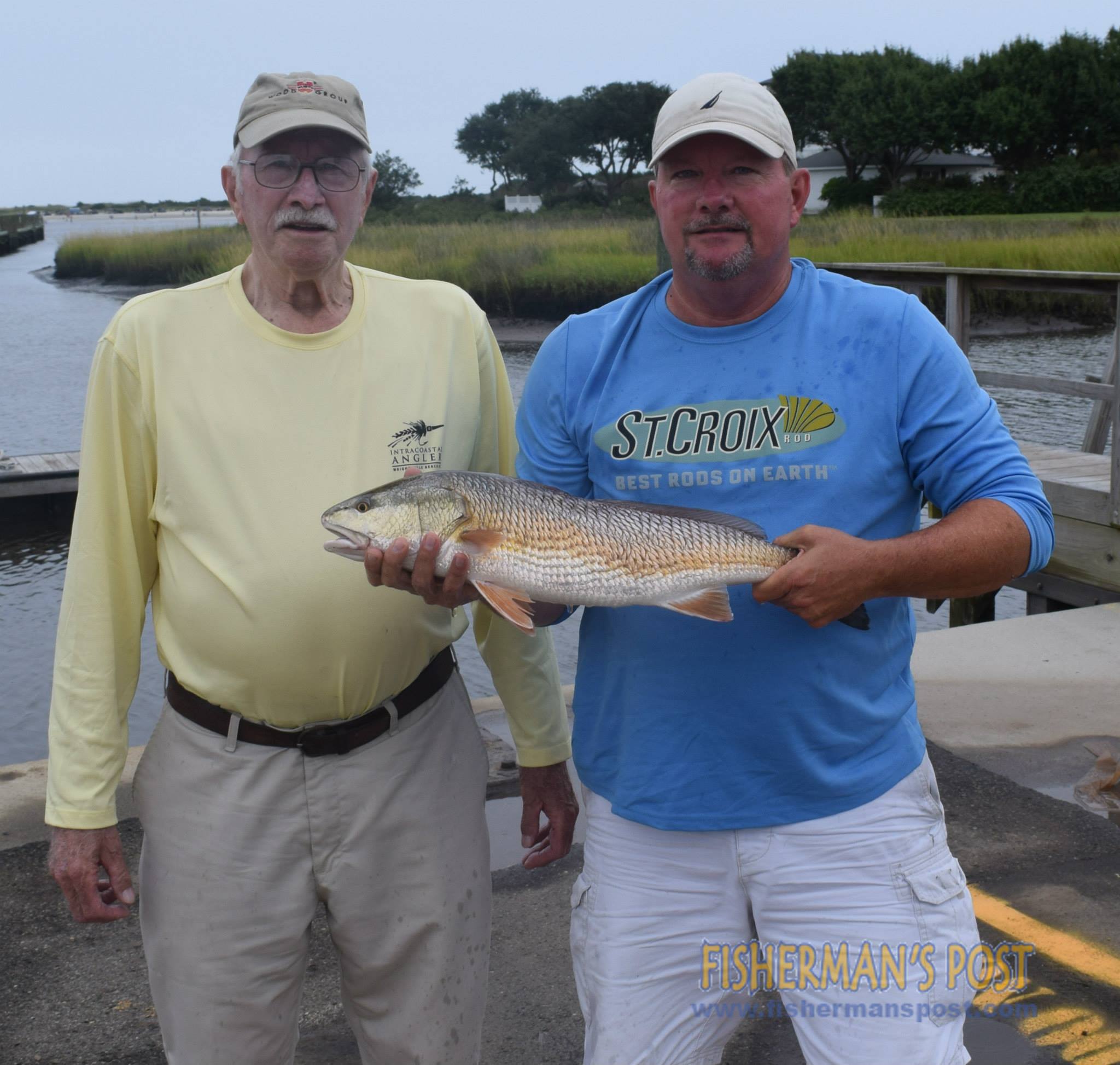 12014988_1160097527352591_2881576549585209871_o_1160097527352591