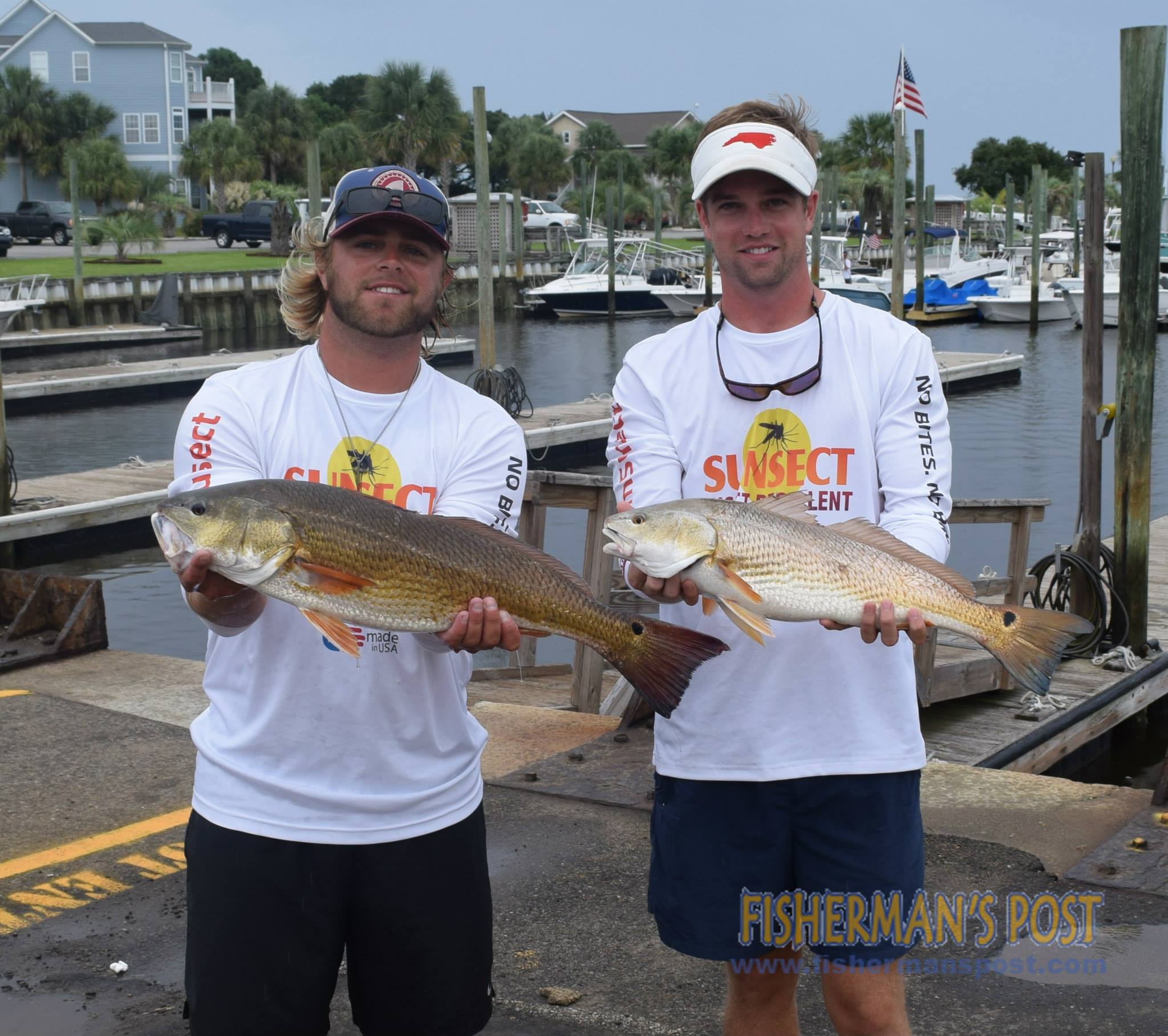 12006499_1160098017352542_8059083777019858140_o_1160098017352542