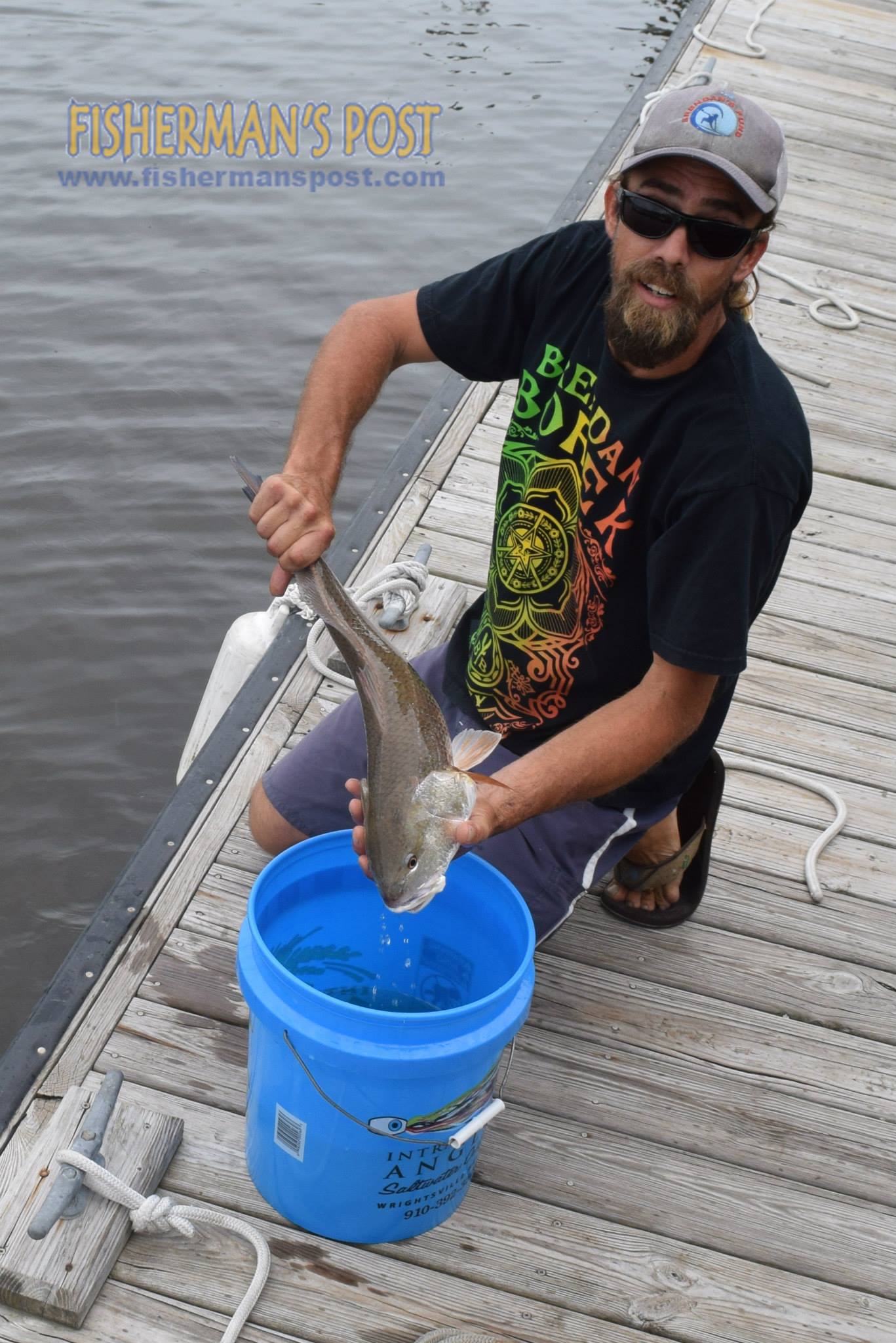 12002555_1160097694019241_7235846833046325050_o_1160097694019241