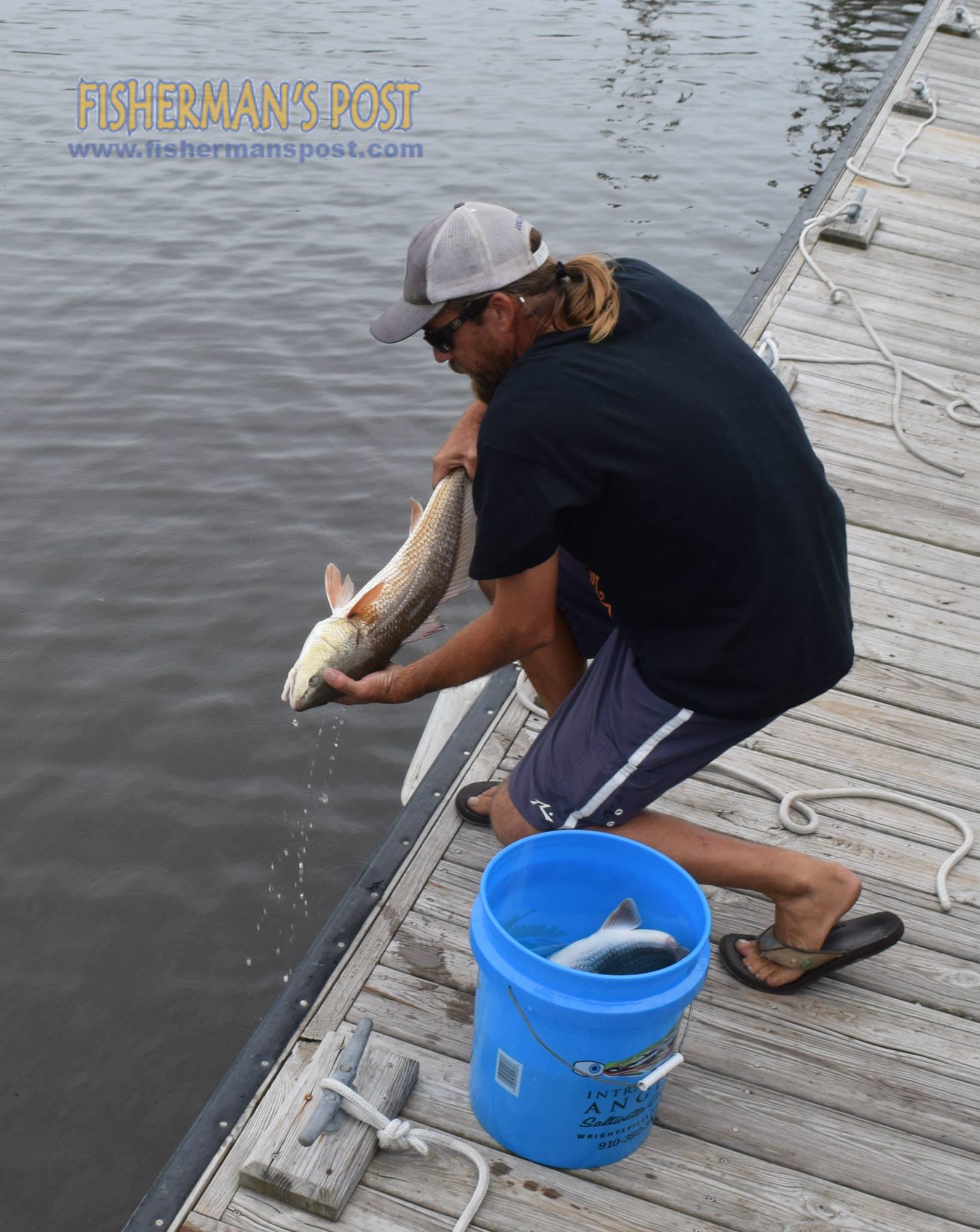 11255738_1160097624019248_3536989809558211934_o_1160097624019248