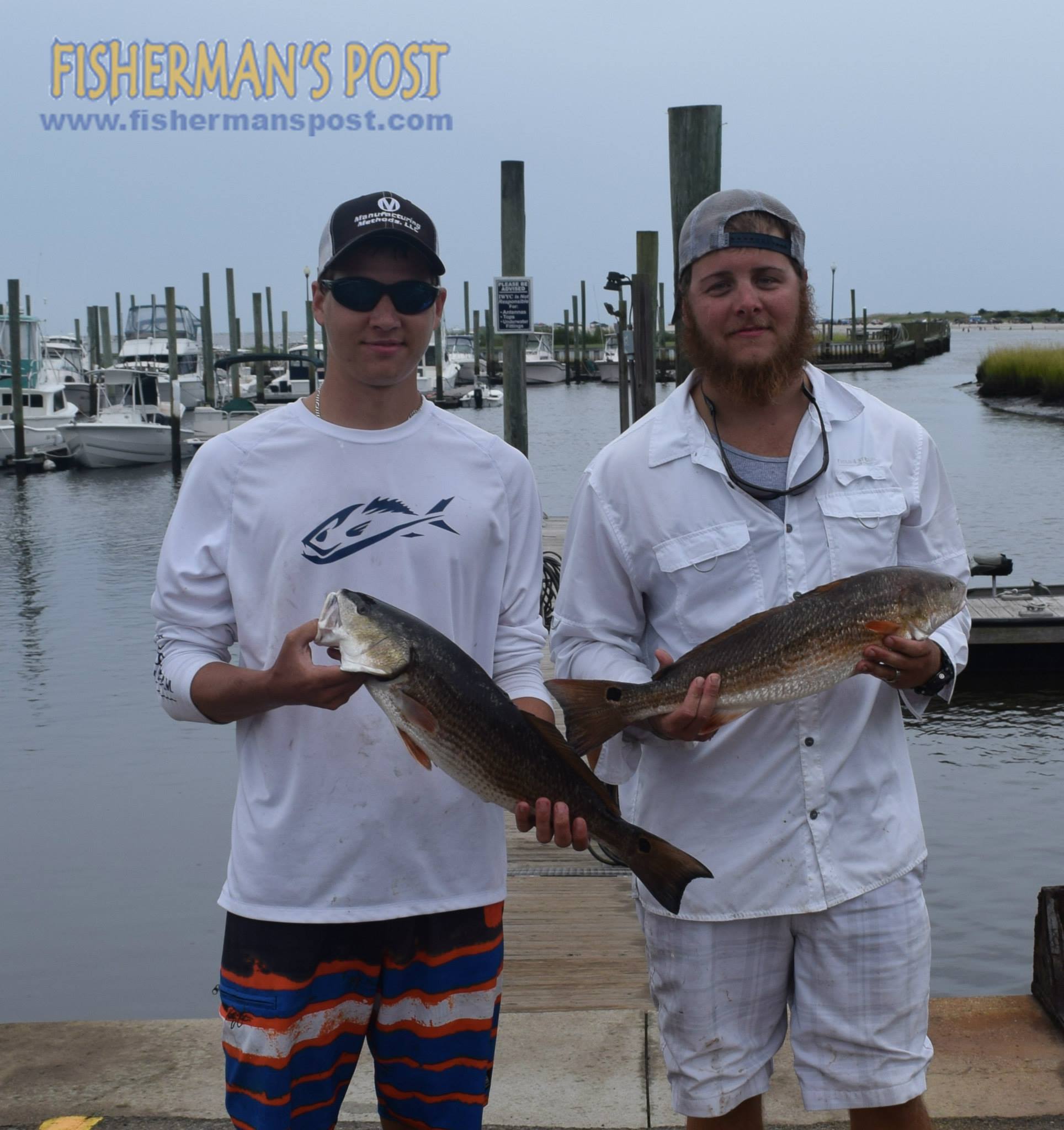 11030239_1160097757352568_5347522711275118938_o_1160097757352568