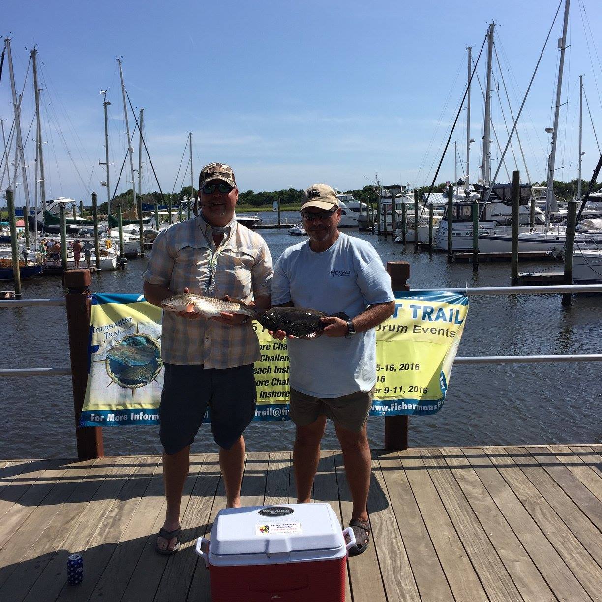 13925920_1375857949109880_8216433246357028843_o_1375857949109880