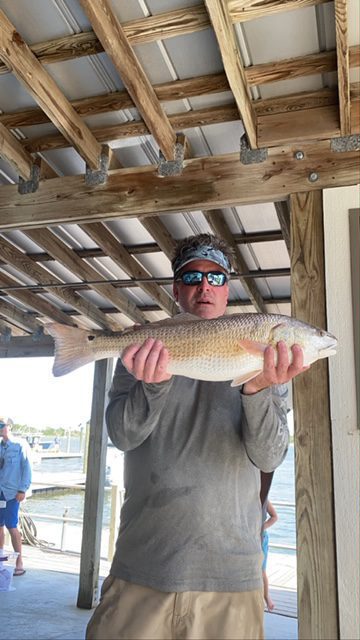 563522A8-1A9B-4321-92C5-1B7E6FB647D8