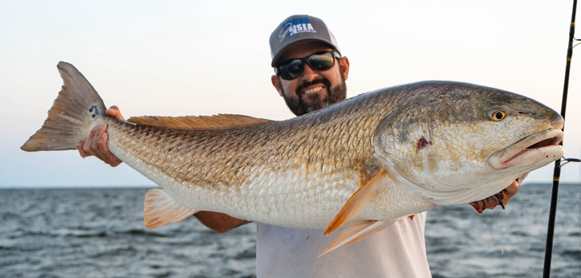 Hatteras/Ocracoke – October 2024