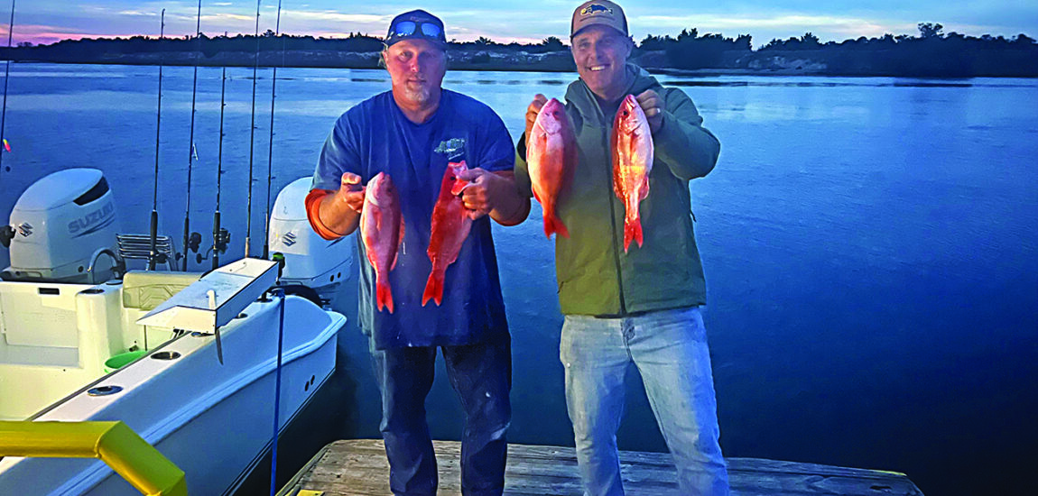 Ali-Kat Sportfishing: Chicken Rigs, Squid, and Wreck Havoc