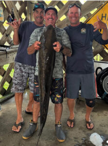 OBX/Northern Beaches – June 2025 Image