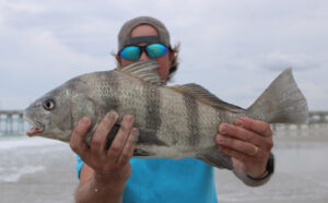 Topsail/Sneads Ferry – June 2025 Image