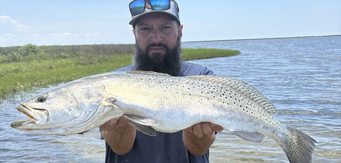 OBX/Northern Beaches – July 2025