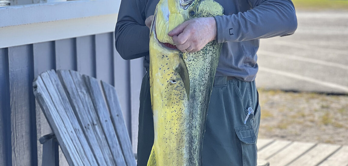 Hatteras/Ocracoke – August 2025