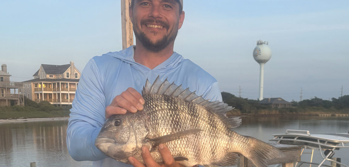 OBX/Northern Beaches – August 2025