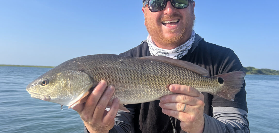 Tidelines – August 2025