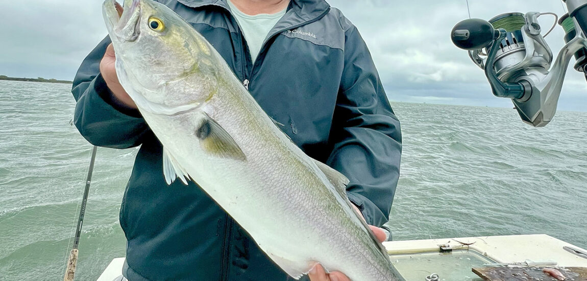 OBX/Northern Beaches – October 2025