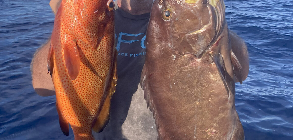 Ocean Isle/Holden Beach – October 2025