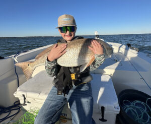 North Myrtle/Little River – November 2025 Image