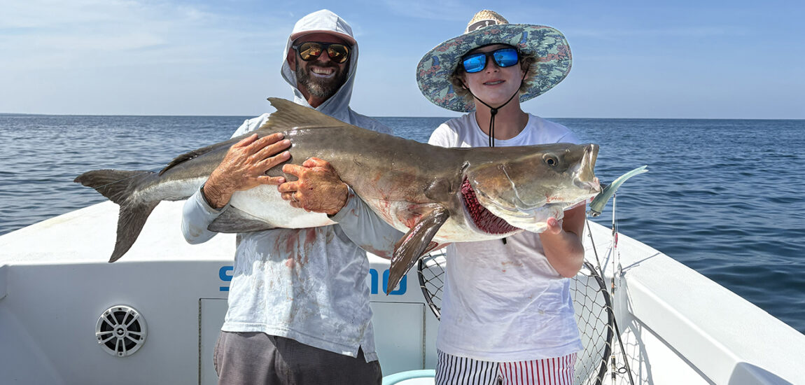 OBX/Northern Beaches – November 2025