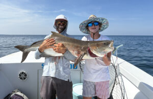 OBX/Northern Beaches – November 2025 Image