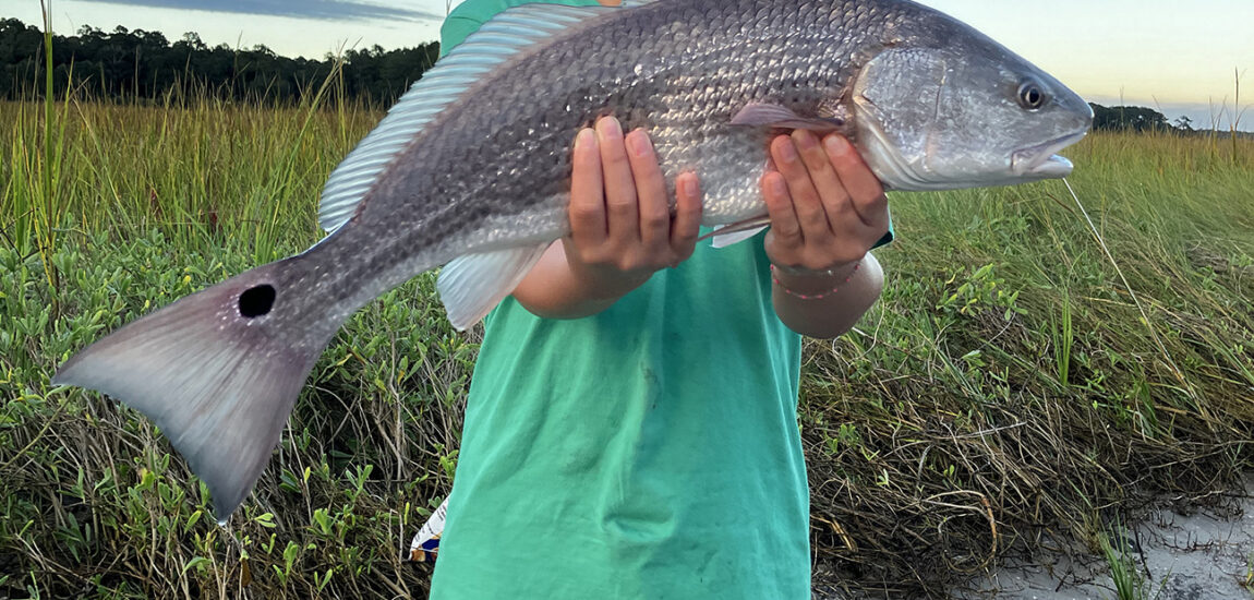 Ocean Isle/Holden Beach – November 2025