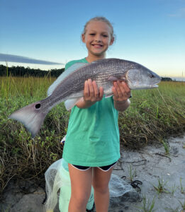 Ocean Isle/Holden Beach – November 2025 Image