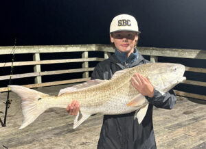 Swansboro/Emerald Isle – November 2025 Image