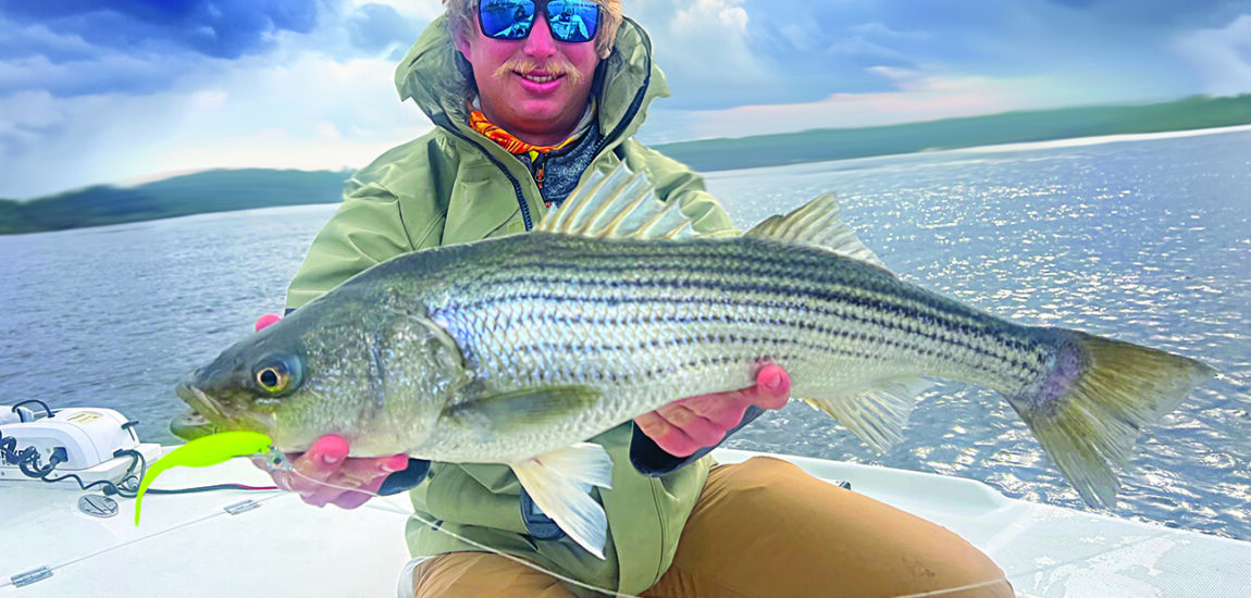 Tidelines – November 2025