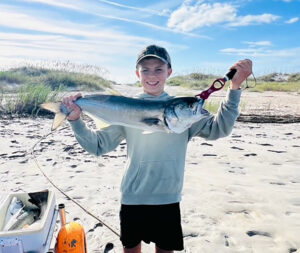 Topsail/Sneads Ferry – November 2025 Image