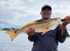 Carolina Beach – December 2025 Image