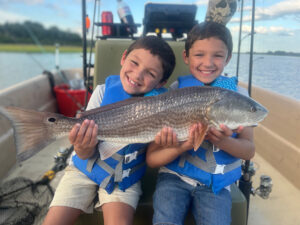 Topsail/Sneads Ferry – December 2025 Image