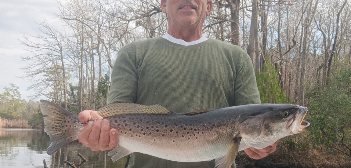 Swansboro/Emerald Isle – December 2025 Swansboro/Emerald Isle – December 2025