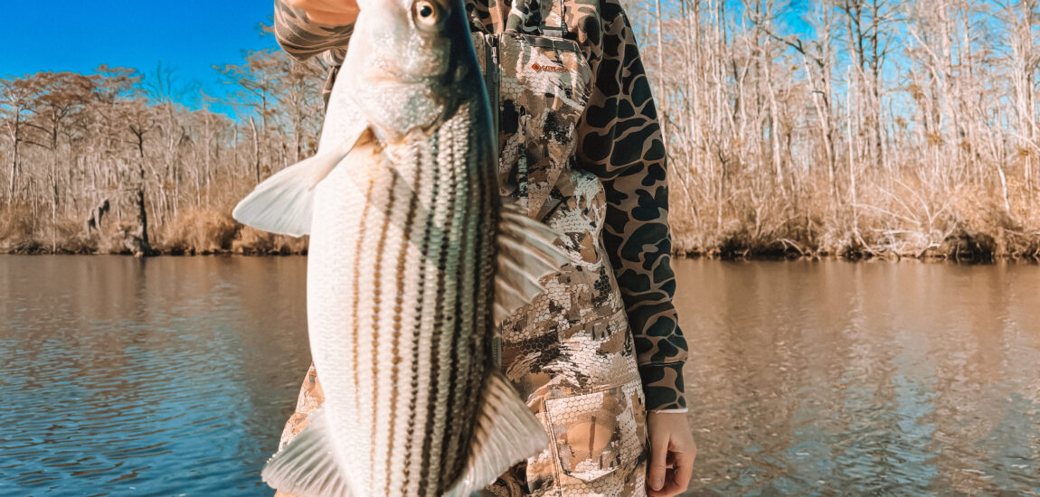 OBX/Northern Beaches – March 2026