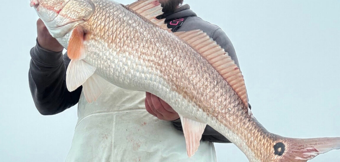 Carolina Beach – April 2026