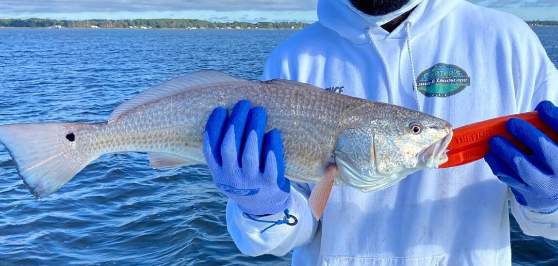 Morehead/Atlantic Beach – March 2026 Morehead/Atlantic Beach – March 2026