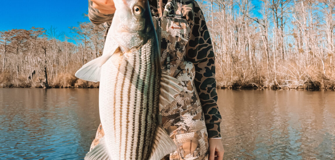 Pamlico/Neuse River – April 2026